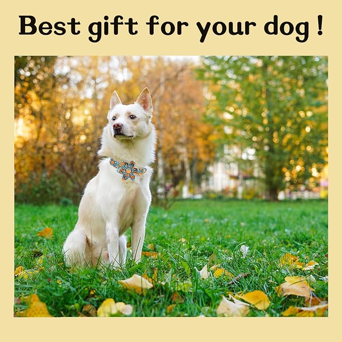 Unique style paws Halloween Dog Collar with Flower