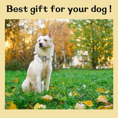 Unique styleUnique style paws Halloween Dog Collar