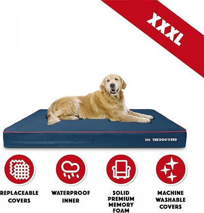 The Dog’s Bed Orthopedic Memory Foam Dog Bed 64x44, Pain