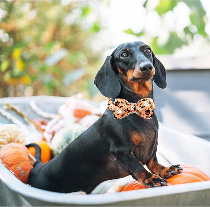 Lionheart glory Halloween Dog Collars, Bowtie Dog Collar Heavy Duty Adjustable Fall Holiday Dog Collar for X-Small Puppy Collar Dog Bow Female or Male Dog Collar Cute