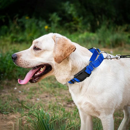 Reflective Martingale Dog Collars. Dog Collar with Quick