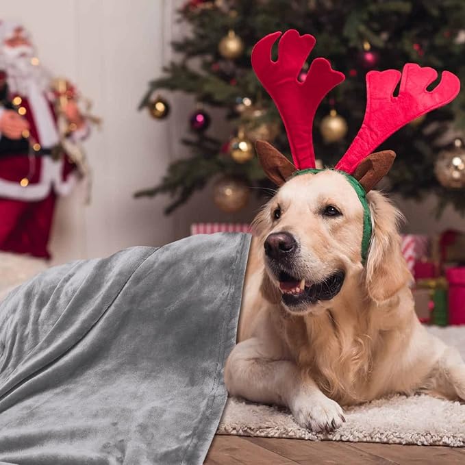 Large Dog Blanket-60 x 80" Soft Fleece Dog Blanket for Large Dog Washable