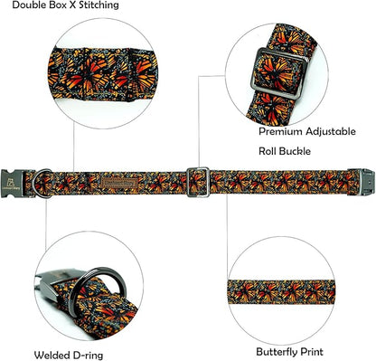 Lionheart glory Premium Fall Dog Collars Butterfly Print