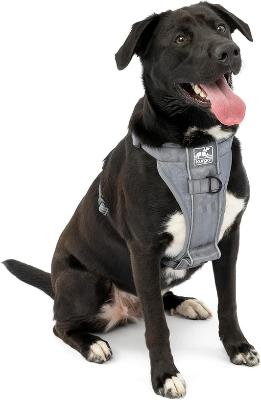 Kurgo Tru-Fit Smart Harness, Dog Harness, Pet Walking Harness, Quick Release Buckles, Front D-Ring for No Pull Training, includes Dog Seat Belt Tether (Grey, X-Large)