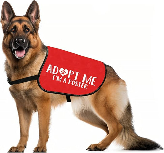 JXGZSO Adopt Me Dog Jacket Vest Adopt Me I’m A Foster Dog Jacket Vest New Puppy Dog (Adopt foster L)