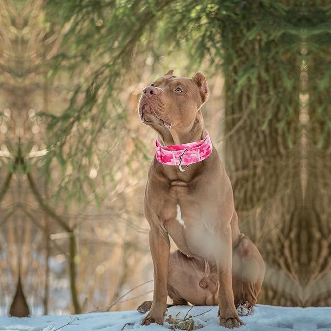 1.5 Inches Martingale Collar for Dogs