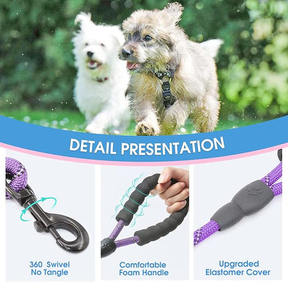 BAAPET 2/4/5/6 FT Dog Leash with Comfortable Padded Handle and Highly Reflective Threads for Small Medium and Large Dogs (5FT-1/3''