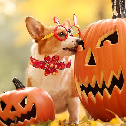 Elegant little tail Dog Collar with Flower