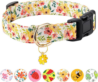 Dog Collar