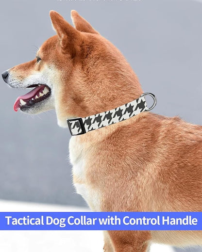 Dog Collar