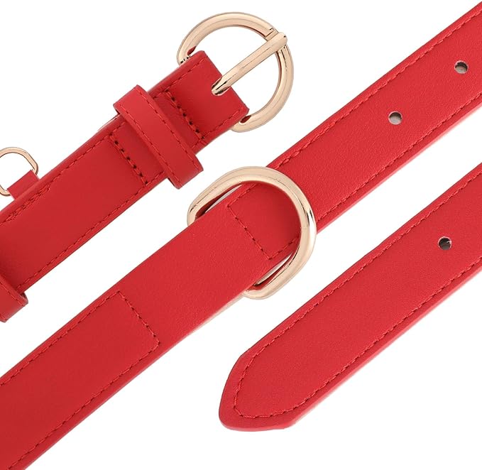 WHIPPY Soft Padded Leather Dog Collar for Small Medium Large Dogs Heavy Duty Dog Collar with Adjustable Rust-Proof Metal Hardware