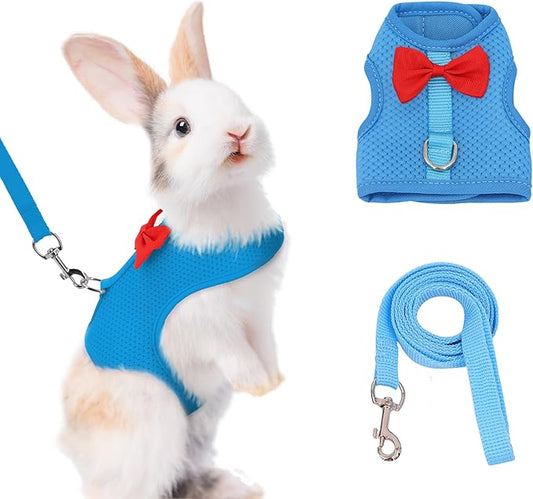 AIITLE Rabbit Harness and Leash Set with Cute Bow, Soft Breathable Mesh Vest Harness for Rabbits Kitten Ferret Puppy Small Pets Walking Supplies Blue S