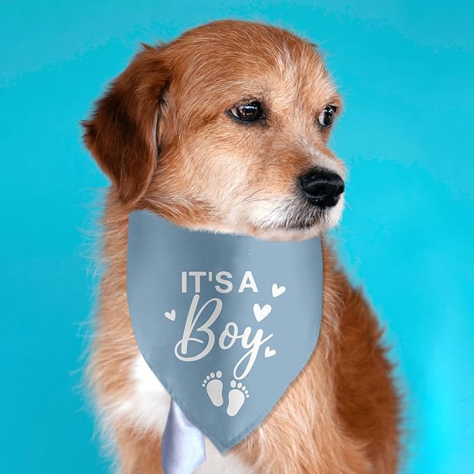 It's a Boy Gender Reveal Baby Announcement Dog