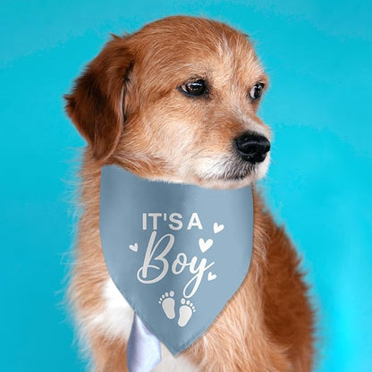 It's a Boy Gender Reveal Baby Announcement Dog