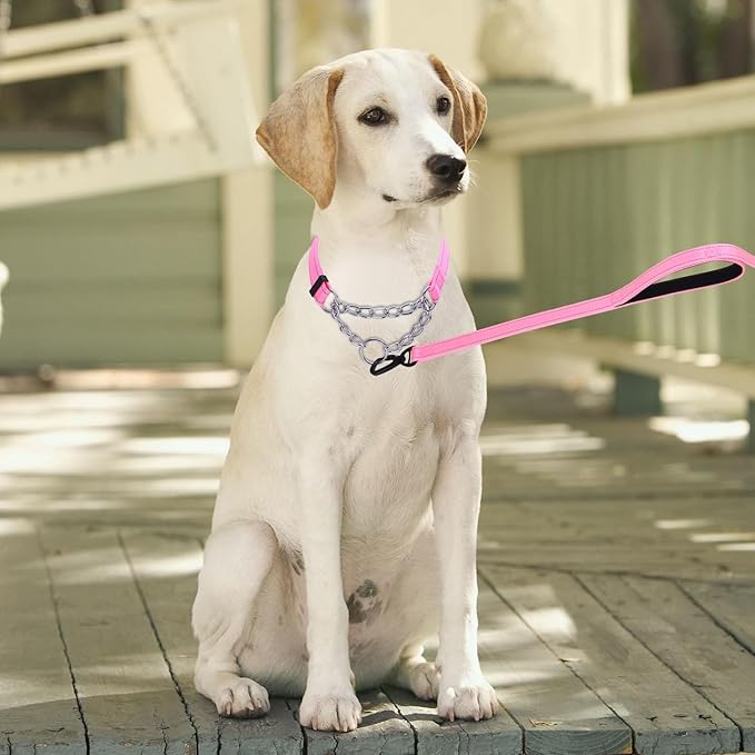 Martingale Dog Collar with Stainless Steel Chain and Leash Set 5FT Double