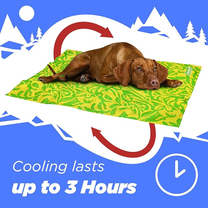 Coleman Small Green Botanical Pattern Reversible Cooling Mat 18” x 24”