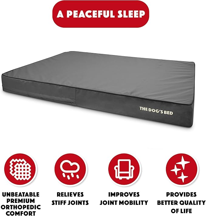 The Dog’s Bed Orthopedic Memory Foam Dog Bed 64x44, Pain