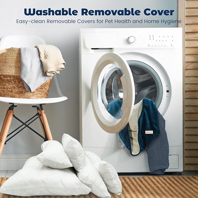 Miguel Medium Small Dog Bed with Washable Removable Cover 25 Inches