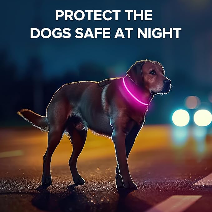 Led Dog Collar for Night Walking