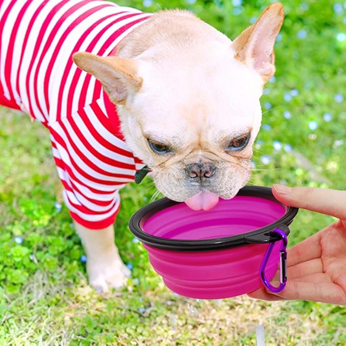 Dog Bowl Pet Collapsible Bowls, 2 Pack Collapsible Dog Water Bowls for Cats Dogs, Portable Pet Feeding Watering Dish for Walking Parking Traveling with 2 Carabiners (Small, Green+Purple)