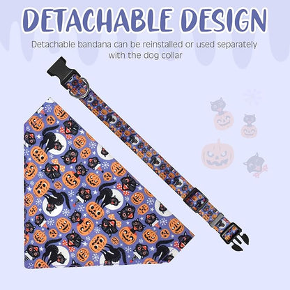 Halloween Dog Collar with Detachable Bandana