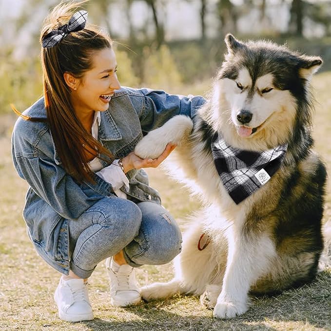 E-Clover Dog Bandanas & Matching Scrunchie Set Boy