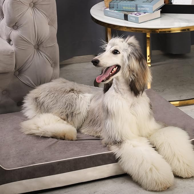 Laifug Orthopedic Memory Foam Extra Large Dog Bed with Pillow and Durable Water Proof Liner & Removable Washable Cover & Smart Design (Large (46"x28"x8")