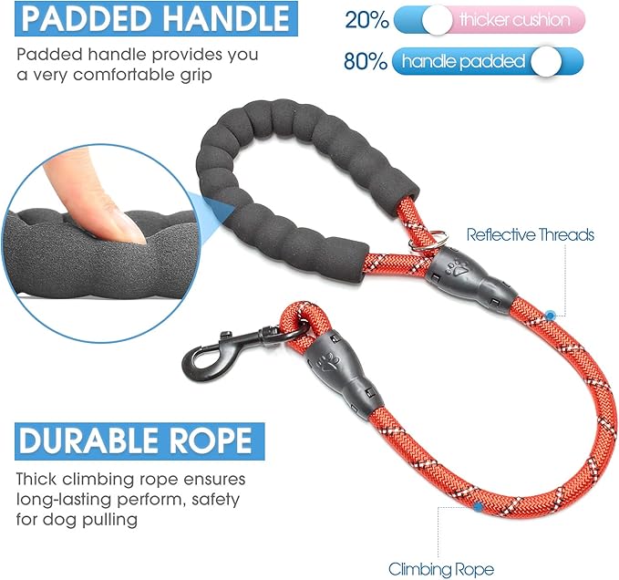 BAAPET 2/4/5/6 FT Dog Leash with Comfortable Padded Handle and Highly Reflective Threads for Small Medium and Large Dogs (2FT-1/2''