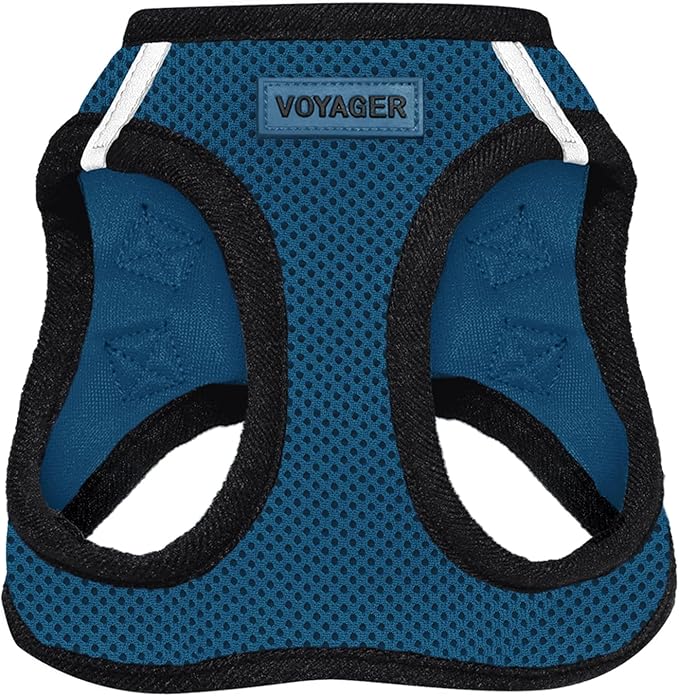 Voyager Step-in Air Dog Harness - All Weather Mesh Step in Vest Harness for Small and Medium Dogs and Cats by Best Pet Supplies - Harness (Blue/Black Trim), L (Chest: 18-20.5")