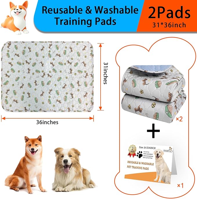 Washable Pee Pads for Dogs 2Pack 31''x36''