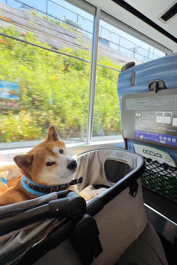 Medium Pet Stroller for Dogs Up to 66lbs 2 in 1 Pet 2 Dogs, 180 ̊ 4 Wheels