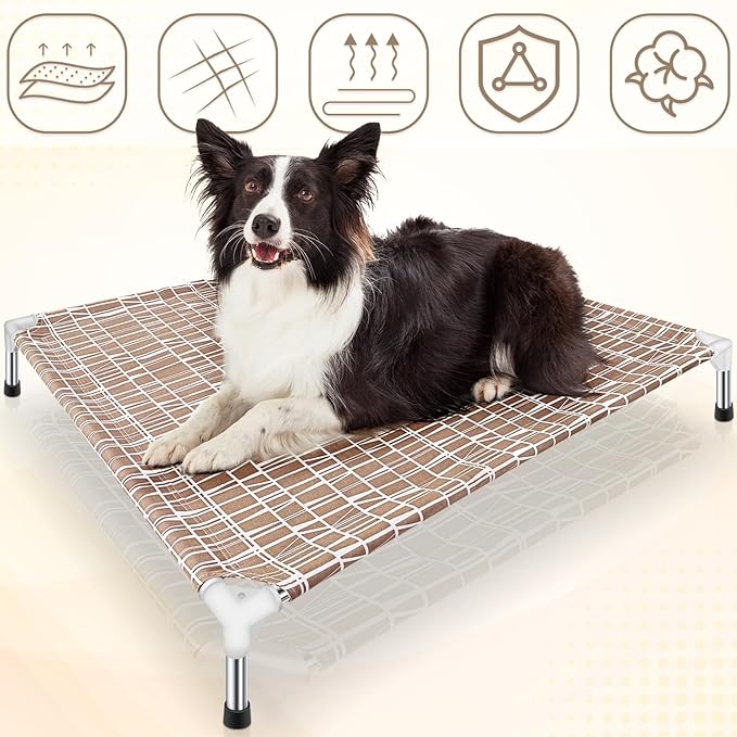 Elevated Dog Bed