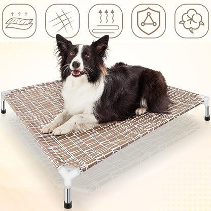 Elevated Dog Bed