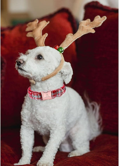 Lionheart glory Christmas Plaid Dog Collar