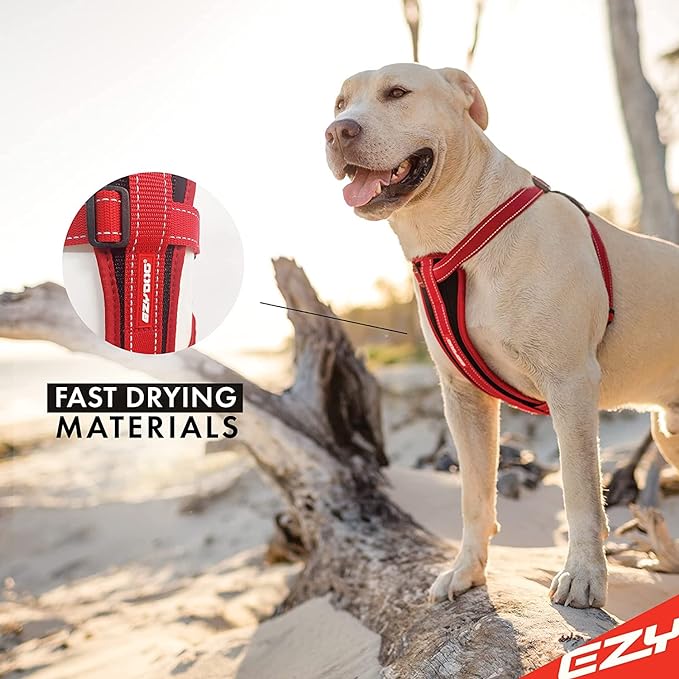 EzyDog Premium Chest Plate Custom Fit Reflective No-Pull Padded Comfort Dog Harness