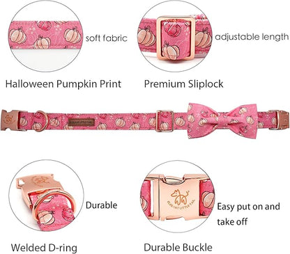 Elegant little tail Dog Collar with Bow