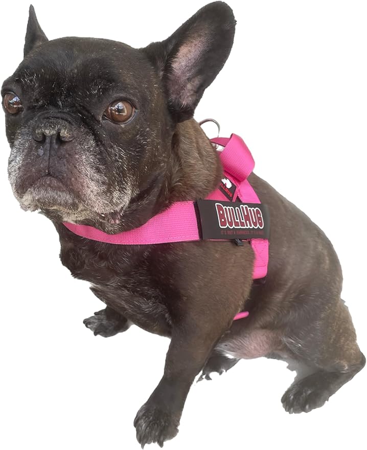 BULLHUG Harness – Made for Larger Chested Dogs Like English Bulldogs