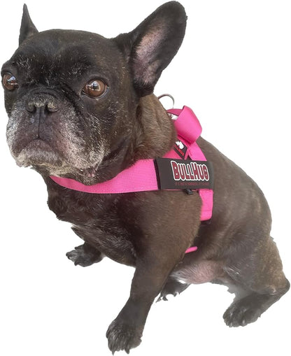 BULLHUG Harness – Made for Larger Chested Dogs Like English Bulldogs