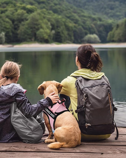 FAYOGOO Service Dog Vest for Small Breed - Lightweight Dog Harness with 6PCS Removable Patches - Puppy Harness and Leash Set for Walking,Training