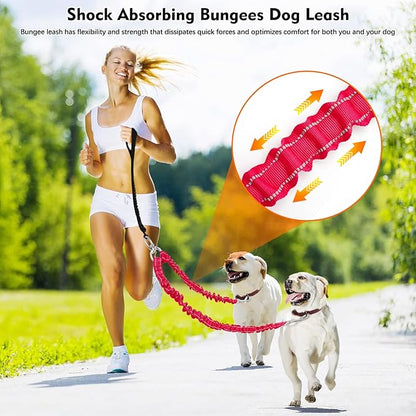 2 Dog Leash 360° Swivel 2 Dogs