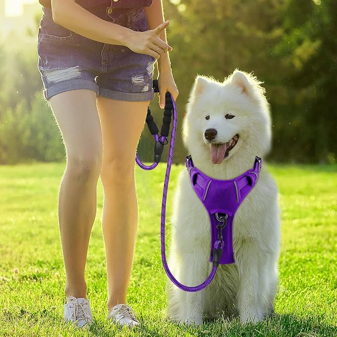 BARKBAY Dog Harness No Pull with ID Tag Pocket - Heavy Duty, Reflective, Easy Control for Large Dogs (Purple,L)