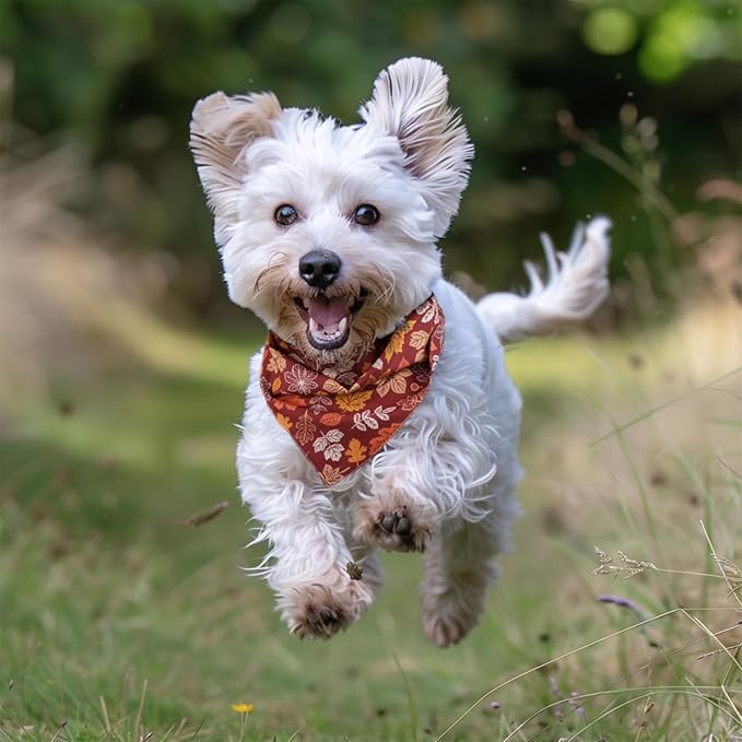 Fall Dog Bandana 2 Pack Thanksgiving Dog Bandana Leaf Pet Scarf Reversible Fall Triangle Bibs Soft Cotton Boy Girl Dog Bandanas for Small, Medium, Large Dogs (Small)