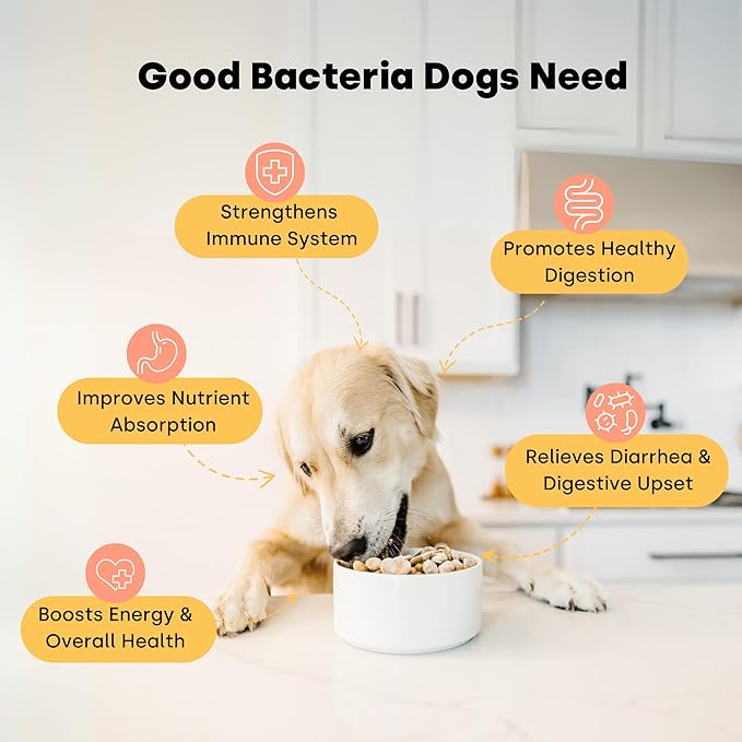 Kayode Lickable Probiotics for Dogs - Strong Dog Digestive Aid & Dog Diarrhea Relief. for Dog Lick Mats Or As Food Topper. Tasty Banana Coconut Flavor. 7 Dog Probiotic Strains.