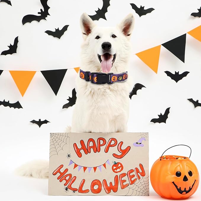 TDTOK Cute Halloween Dog Collar for Small Medium 5 Different