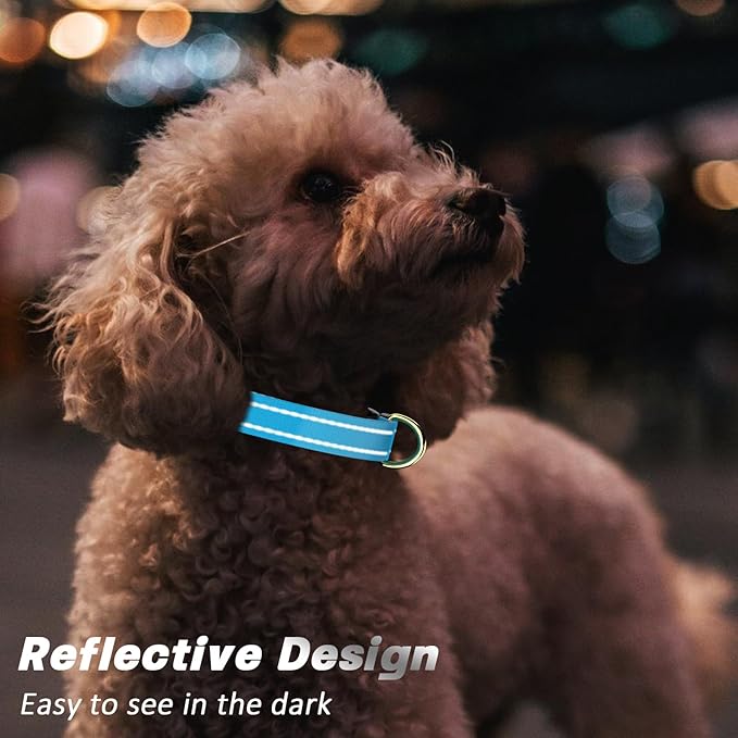 Reflective Dog Collar