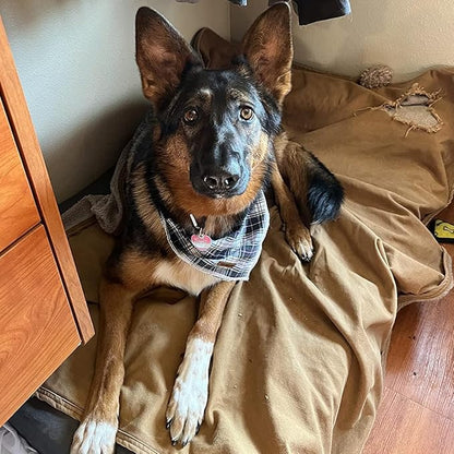 Lionet Paws Dog Bandana Washable Cotton Handkerchief Scarf