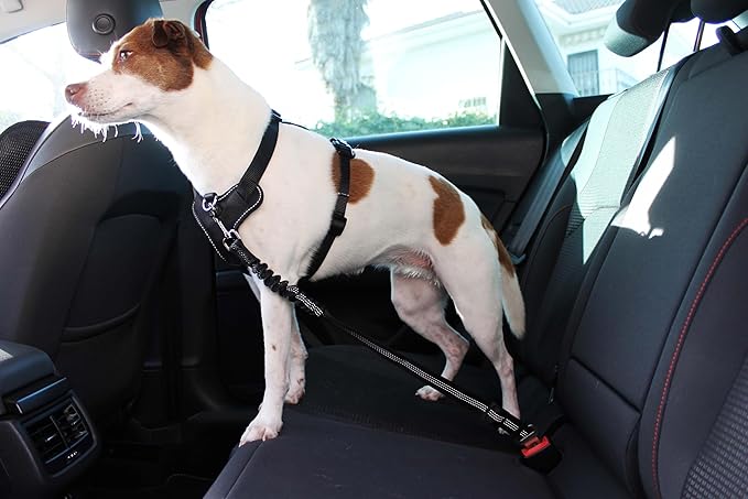 2 Piece Set Adjustable Harness for Dog seat Belt for Large and Small Dogs. Retractable Cup Useful for Them. Dog seat Belt for car