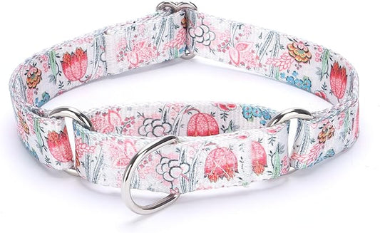 Martingale Dog Collars - Flower Multicolor Cute Patterns, Adjustable Nylon Training Dog Collar Suitable for Boy and Girl Dogs Medium Large Dogs (M, White)