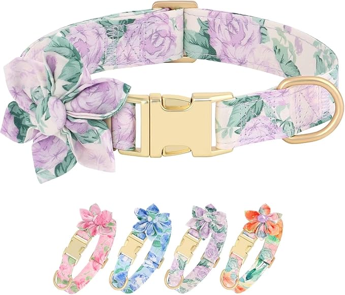 Beirui Cute Girl Dog Collars for Female Dogs