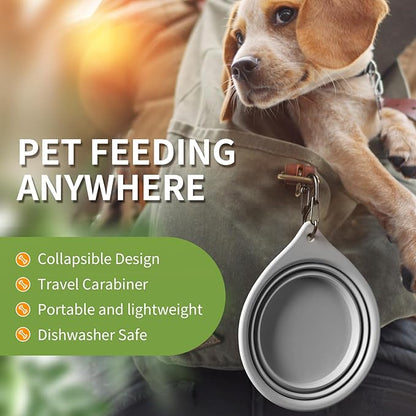 Dog Bowl Pet Travel Collapsible Bowls 2 Pack